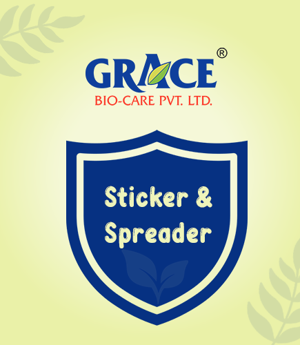 Sticker and Spreader