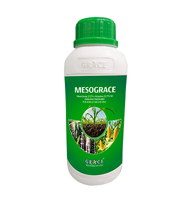 Mesograce