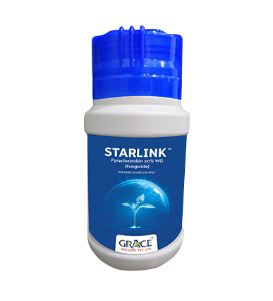 Starlink
