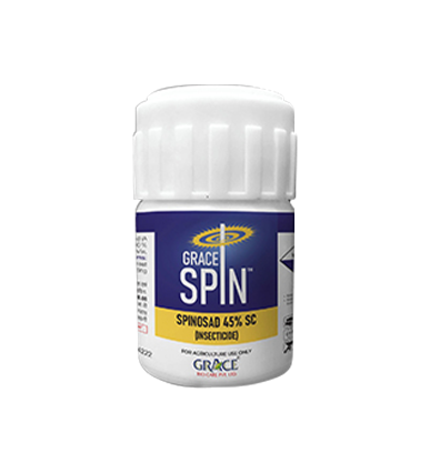 Grace Spin