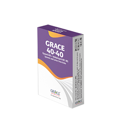 Grace 40-40