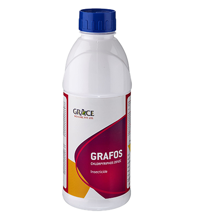 Grafos