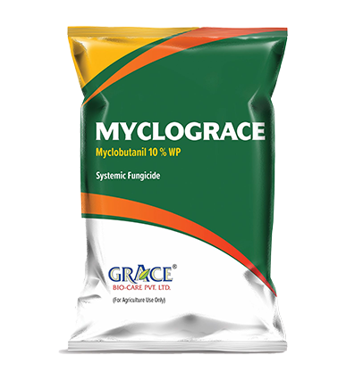MYCLOGRACE