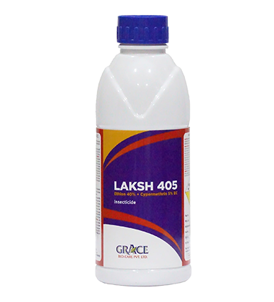 LAKSH 405
