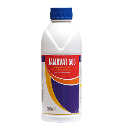JAMAVAT 505
