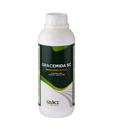 GRACEMIDA SC