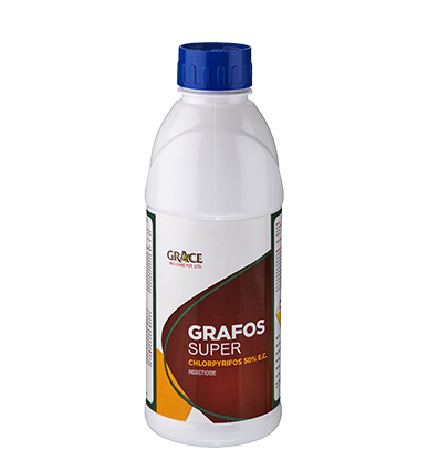 GRAFOS SUPER