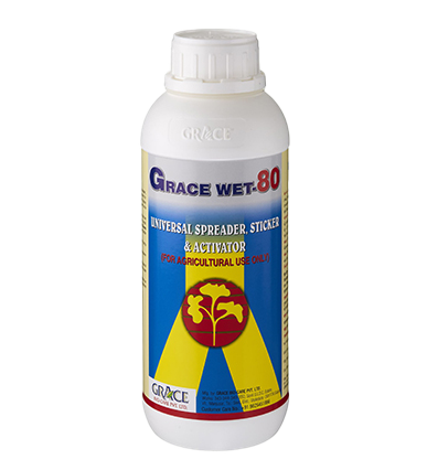 GRACE WET-80