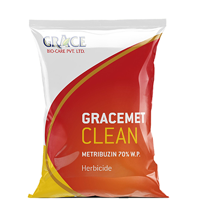 GRACEMET CLEAN