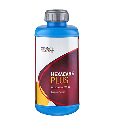 HEXACARE PLUS